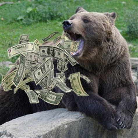 Bear Money Parimatch