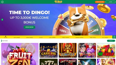 Dingo casino review