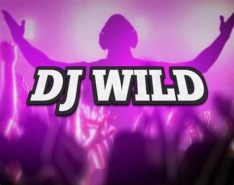 Play Dj Wild slot