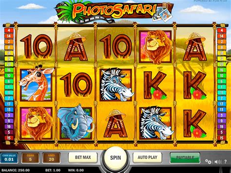 Slots safari casino review