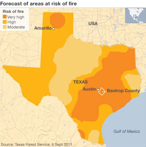 Wild Texas Review 2024