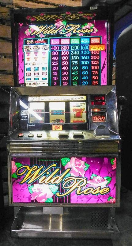 Wild rose slots de casino